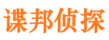 平山市调查公司